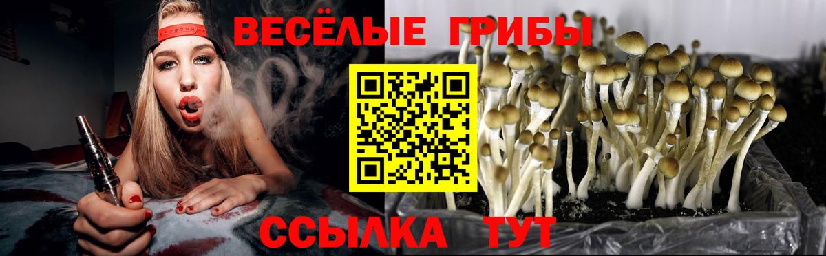 Галлюциногенные грибы мицелий Киселёвск