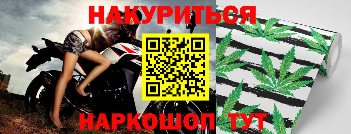 Марихуана OG Kush Киселёвск